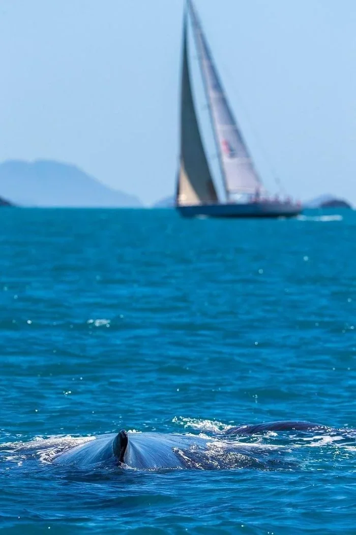 Airlie Beach Race Week is ready to roll