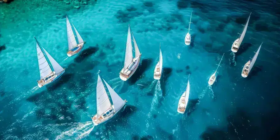 APYC Christmas Cruise & WSC Adventure Series