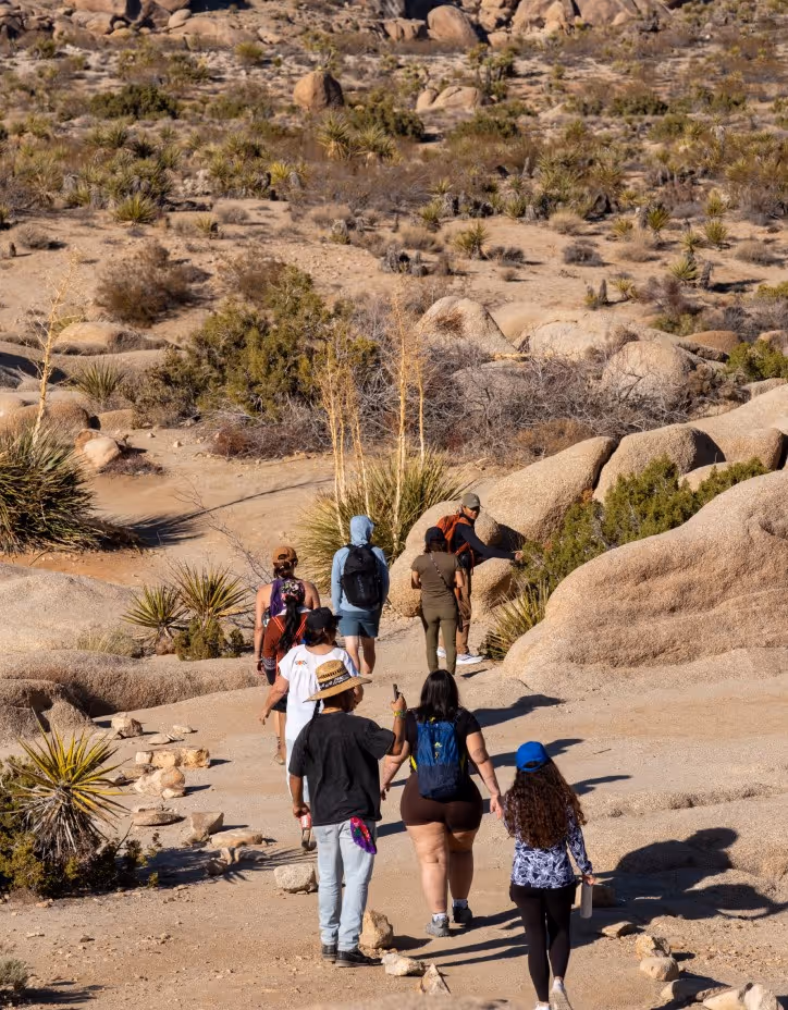 A group of hikers walking along a dirt trail in a rocky desert landscape. They are surrounded by shrubs and large boulders under a clear blue sky.