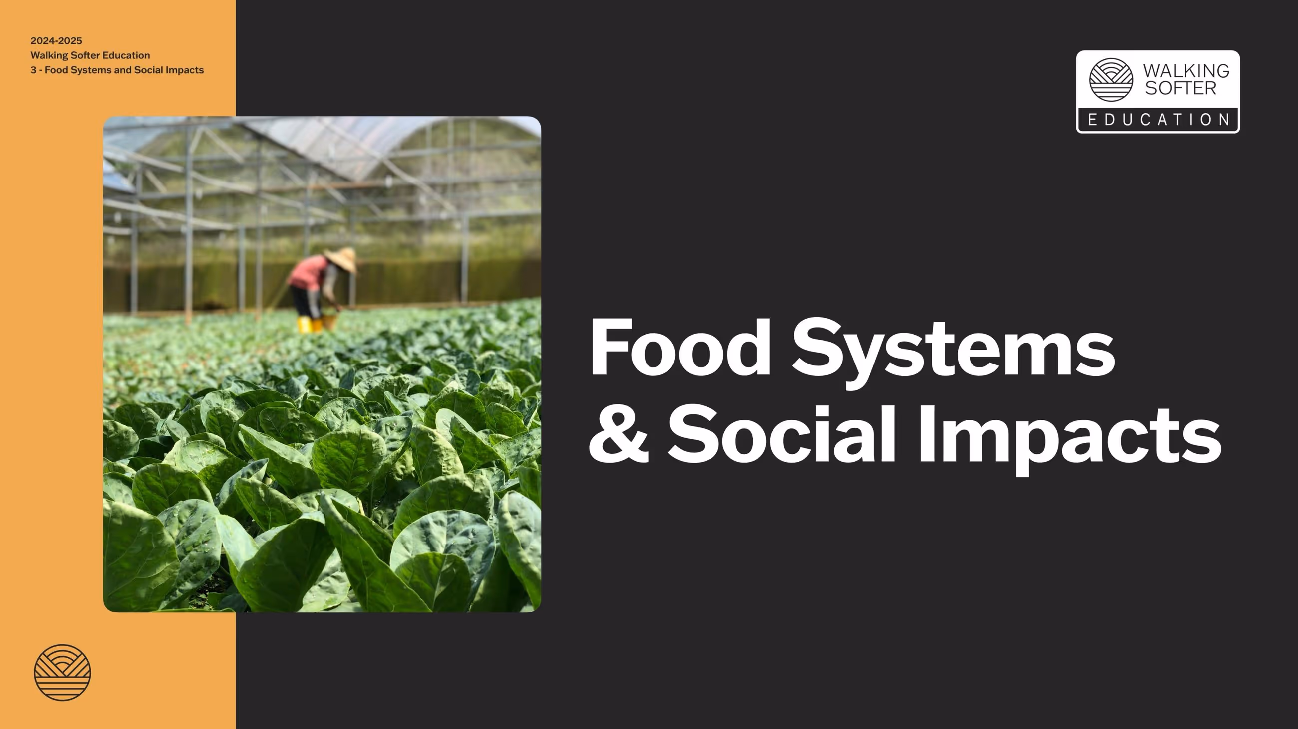 A woman harvesting lettuce in a greenhouse filled with green plants. The photo features a title on the right, reading 'Food Systems & Social Impacts'.