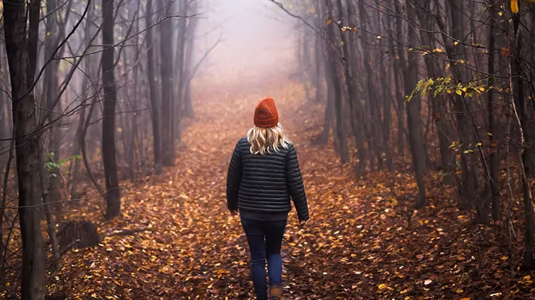 Biophobia. What to Do When the Fear of Nature Paralyses Us?