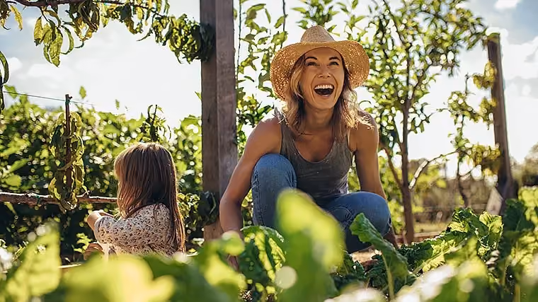 How Does Nature Restore Our Natural Balance?