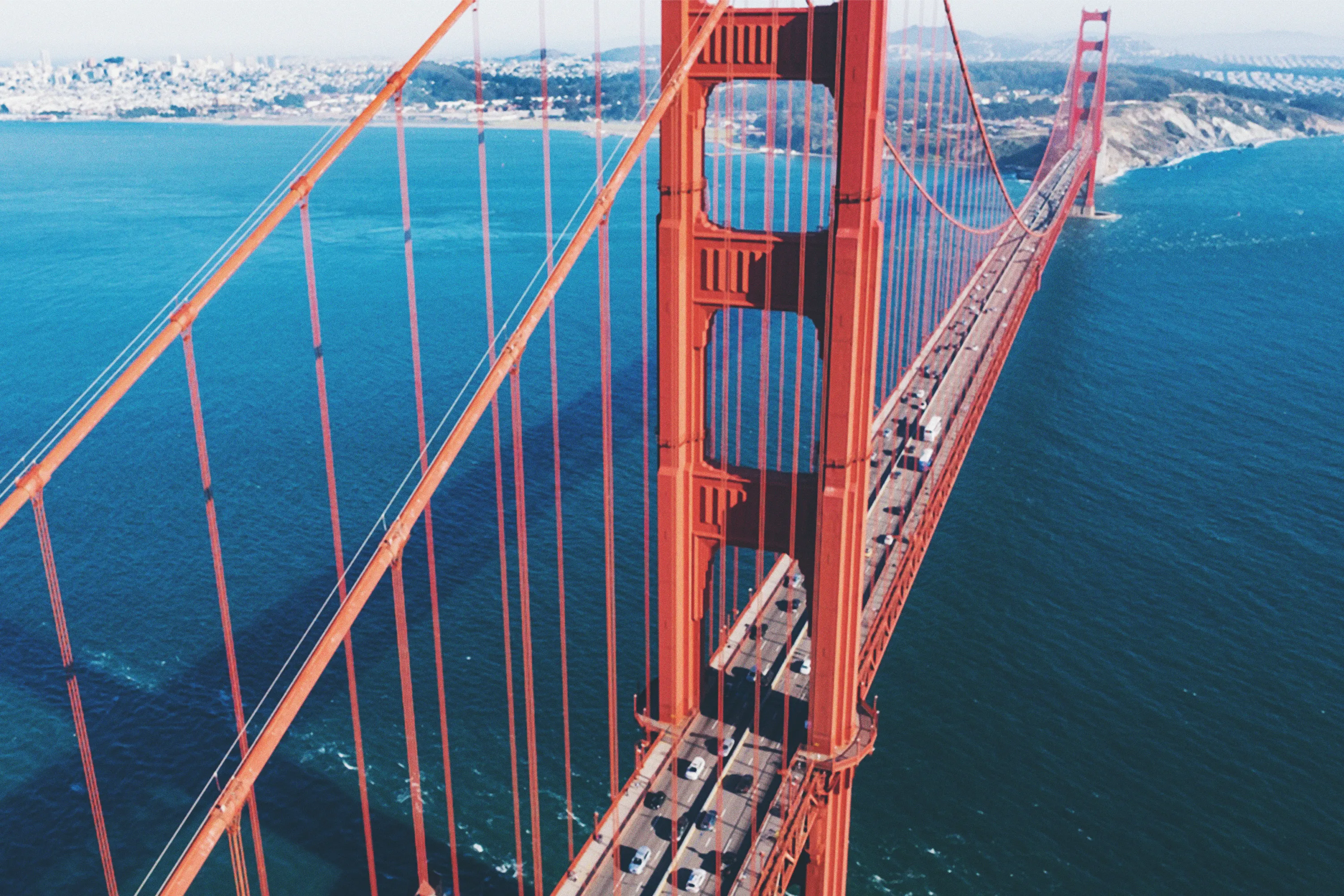 Levy Joins Elevate Ownership Group including San Francisco 49ers, Arctos, Harris Blitzer Sports & Entertainment, and Velocity Capital Management