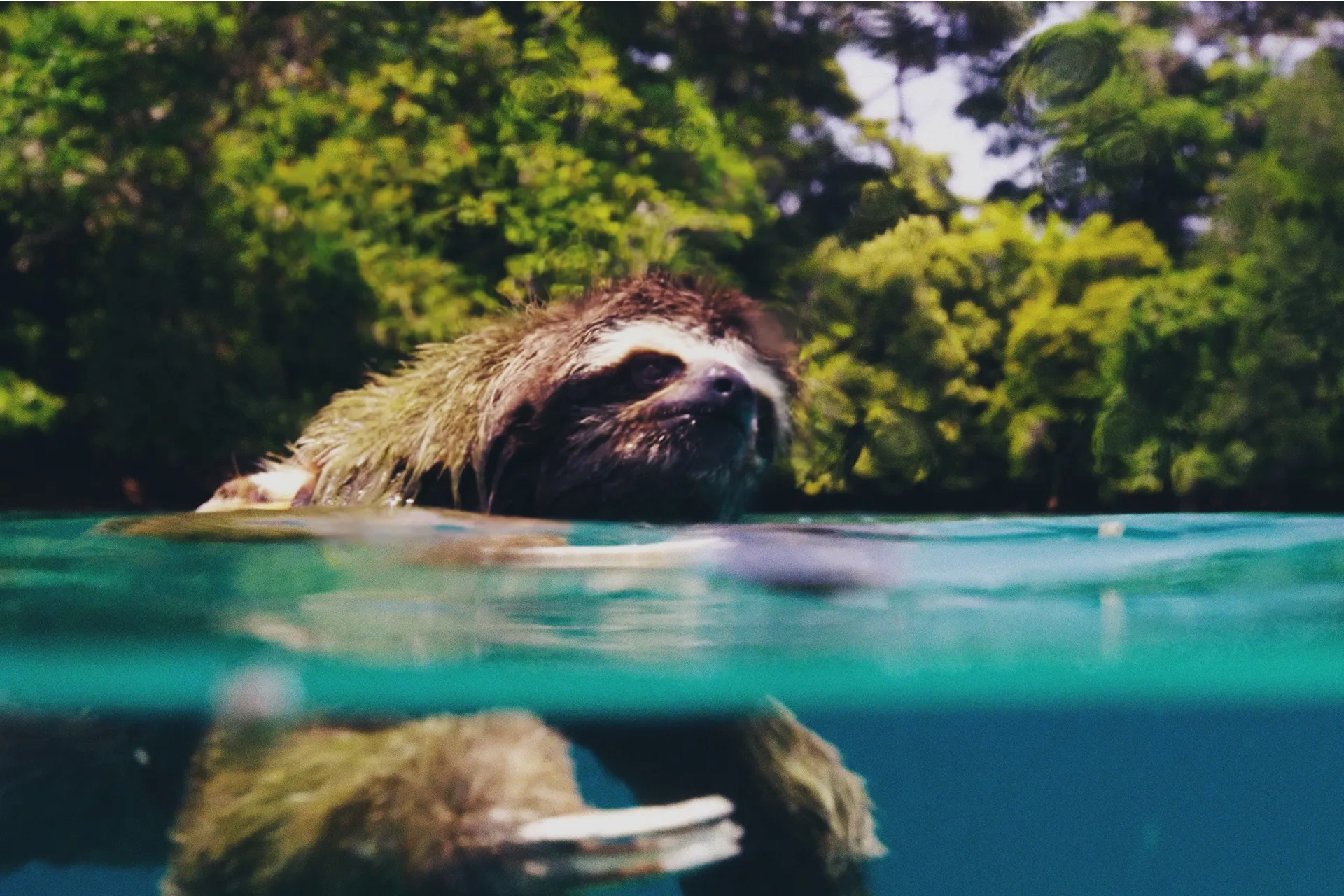 استوديوهات BBC