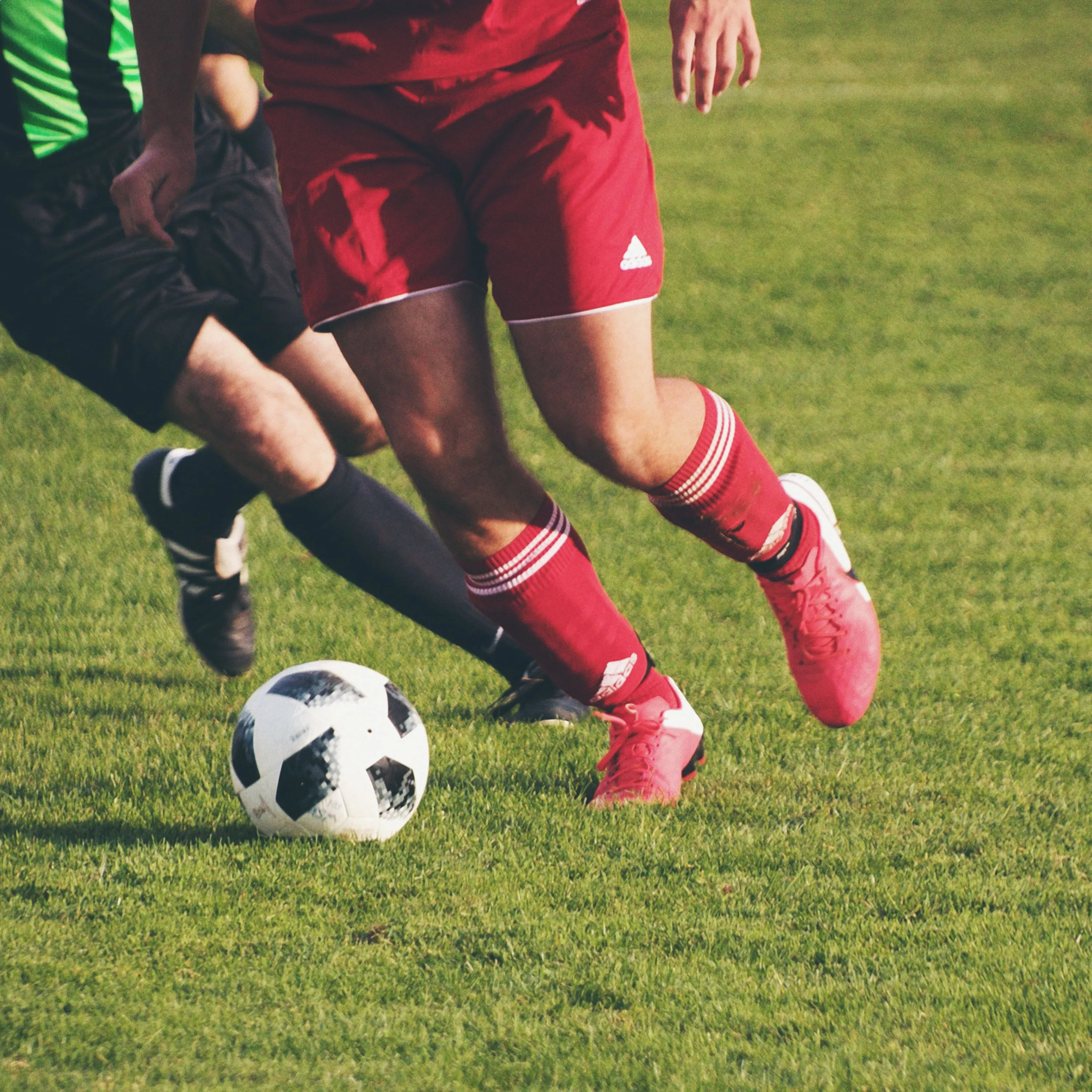 Pets On The Pitch: St. Louis City FC Introduces Purina As the Team's First Founding Partner