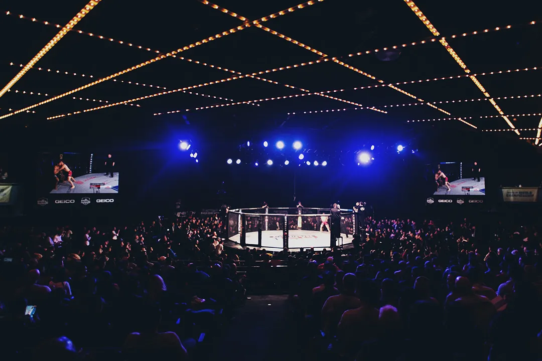 دوري المقاتلين المحترفين