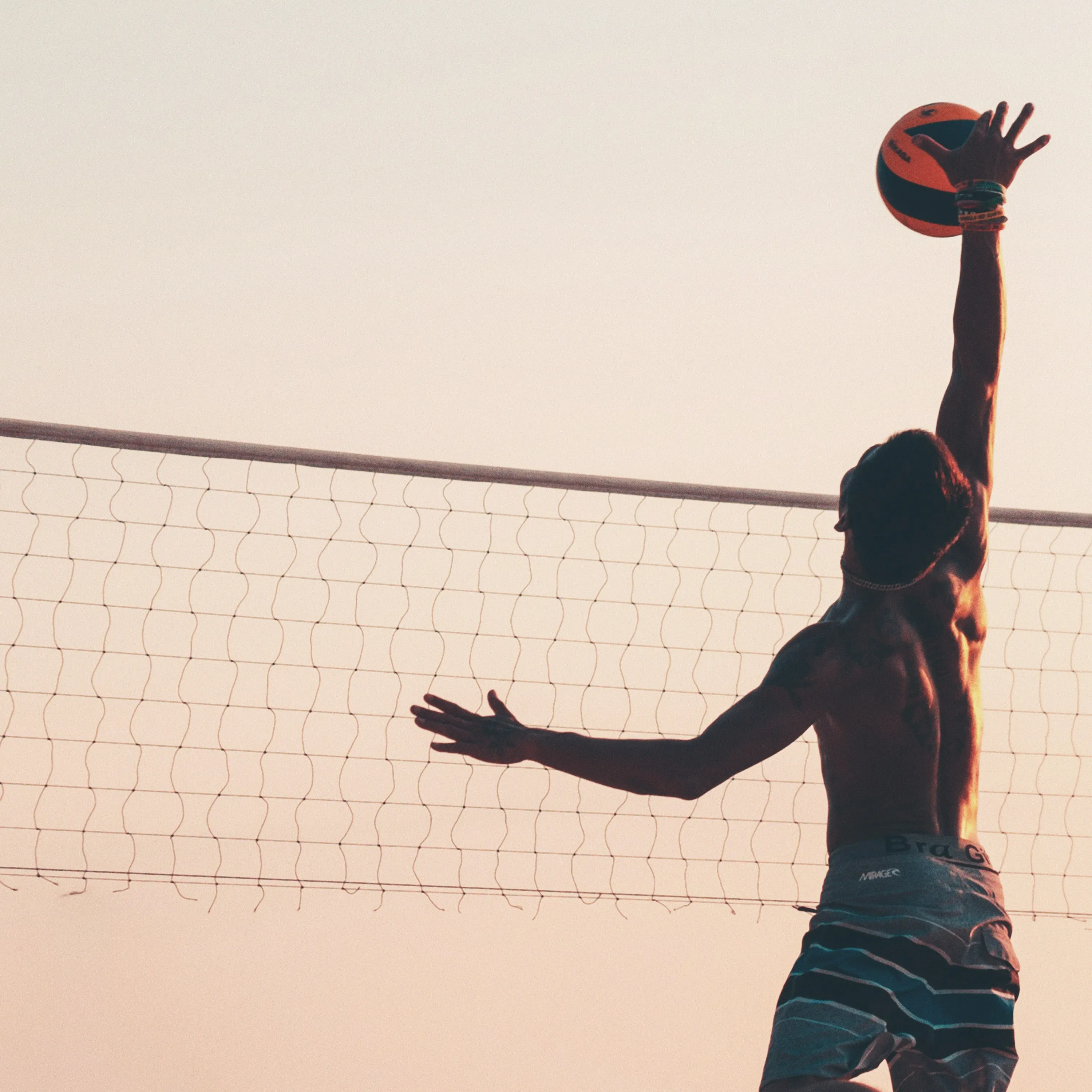 عالم الكرة الطائرة