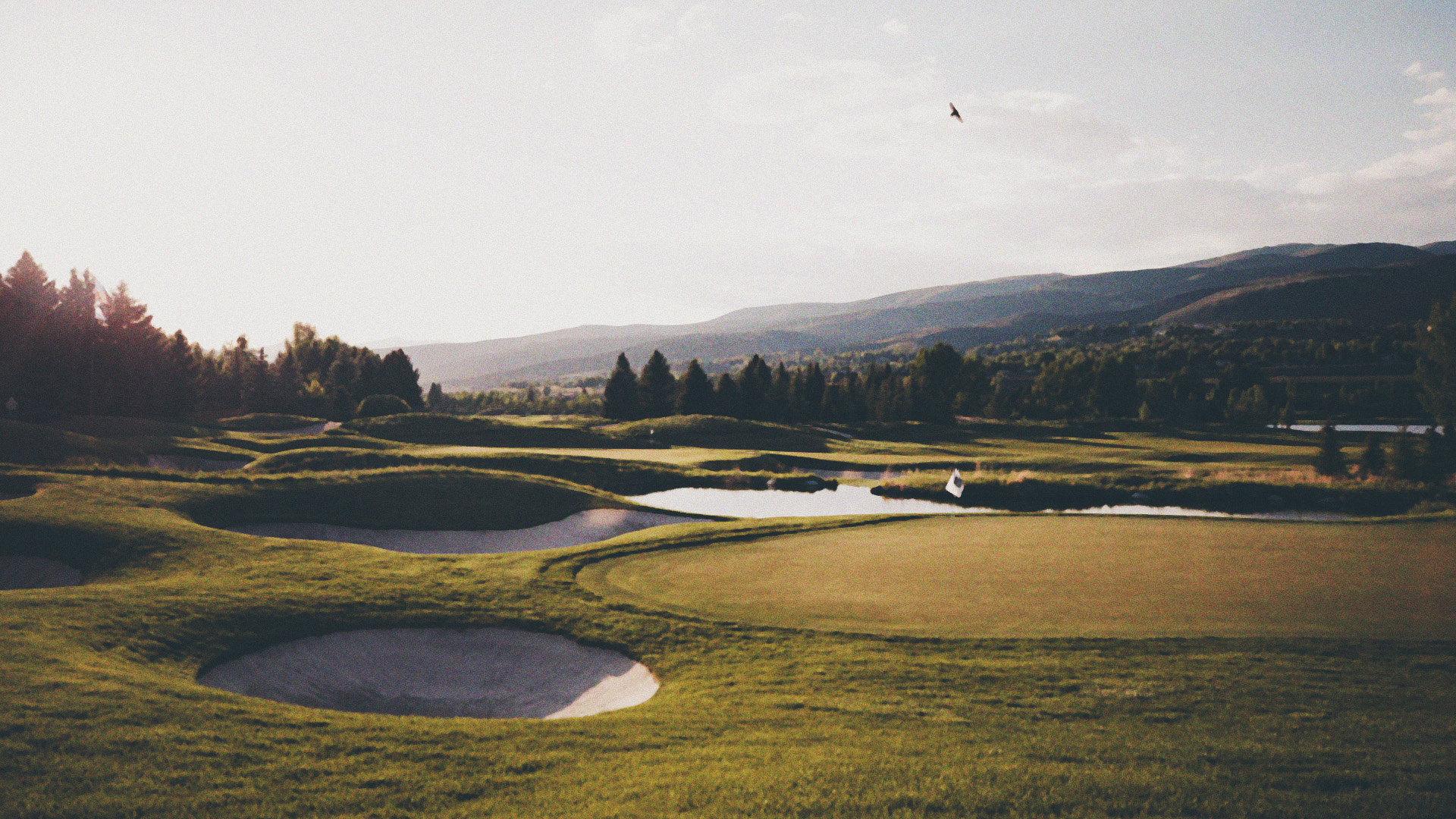 Chad Coleman Named LPGA Chief Marketing Officer