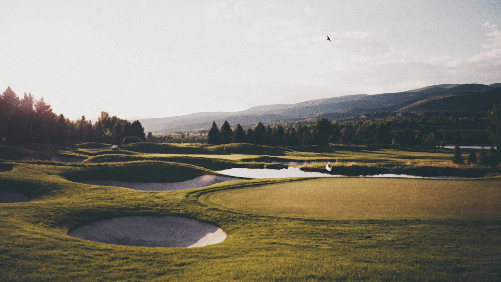 Chad Coleman Named LPGA Chief Marketing Officer