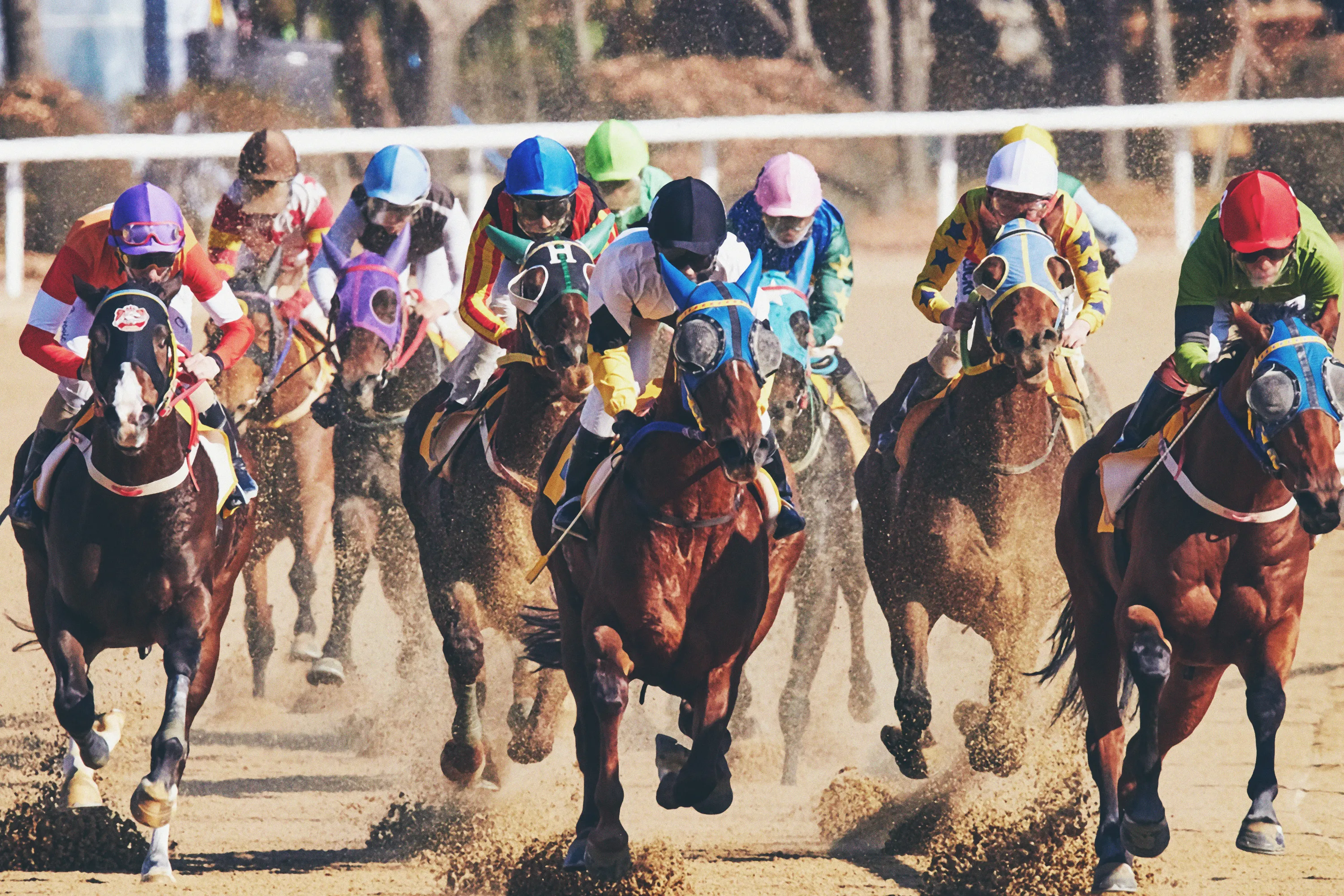Rob Painter, nombrado director de atención al cliente de The Jockey Club