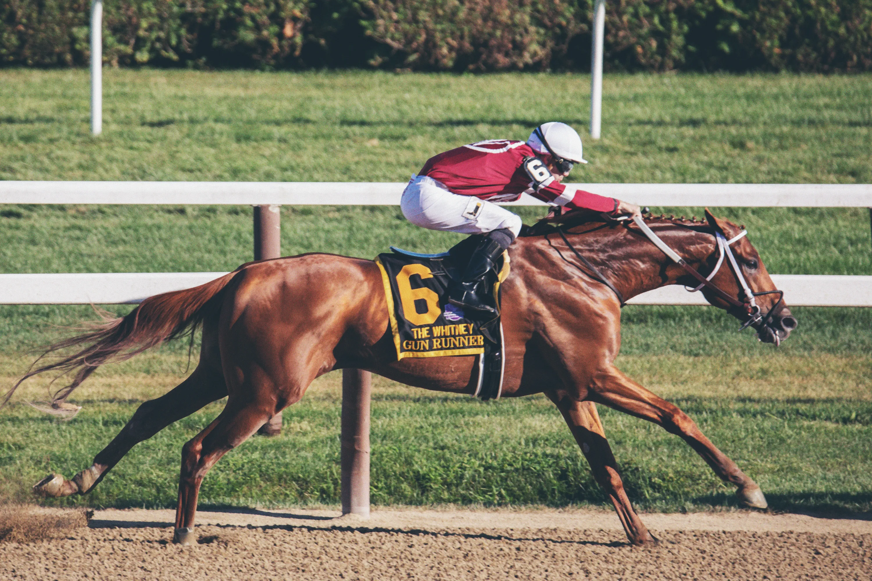 The Hong Kong Jockey Club 