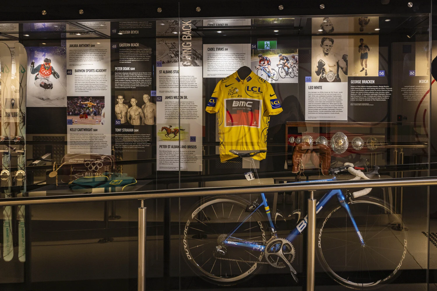 Game Changers and community artefacts are high-quality TASCHO cases with curated images. 