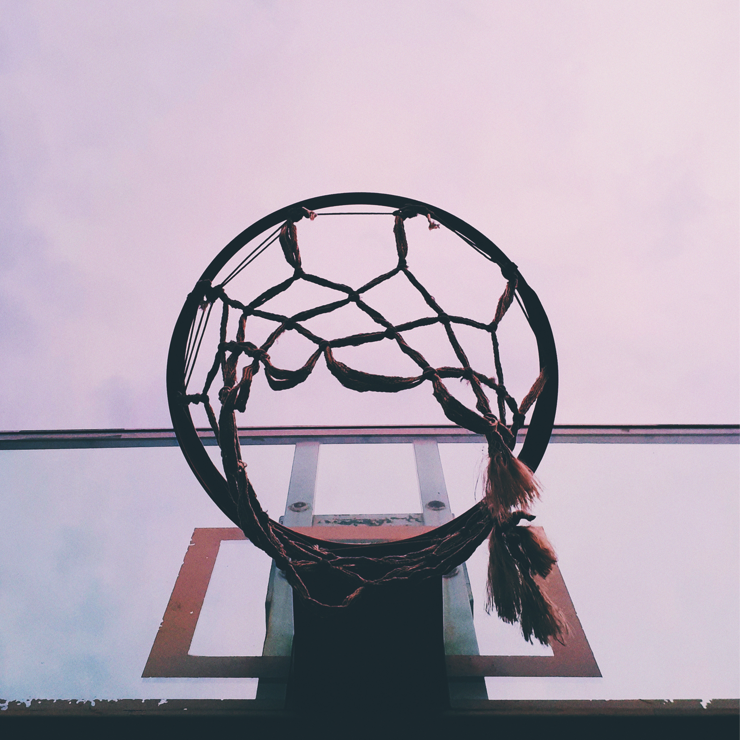 Anna Nimz Named Head Coach for UNA Women’s Basketball