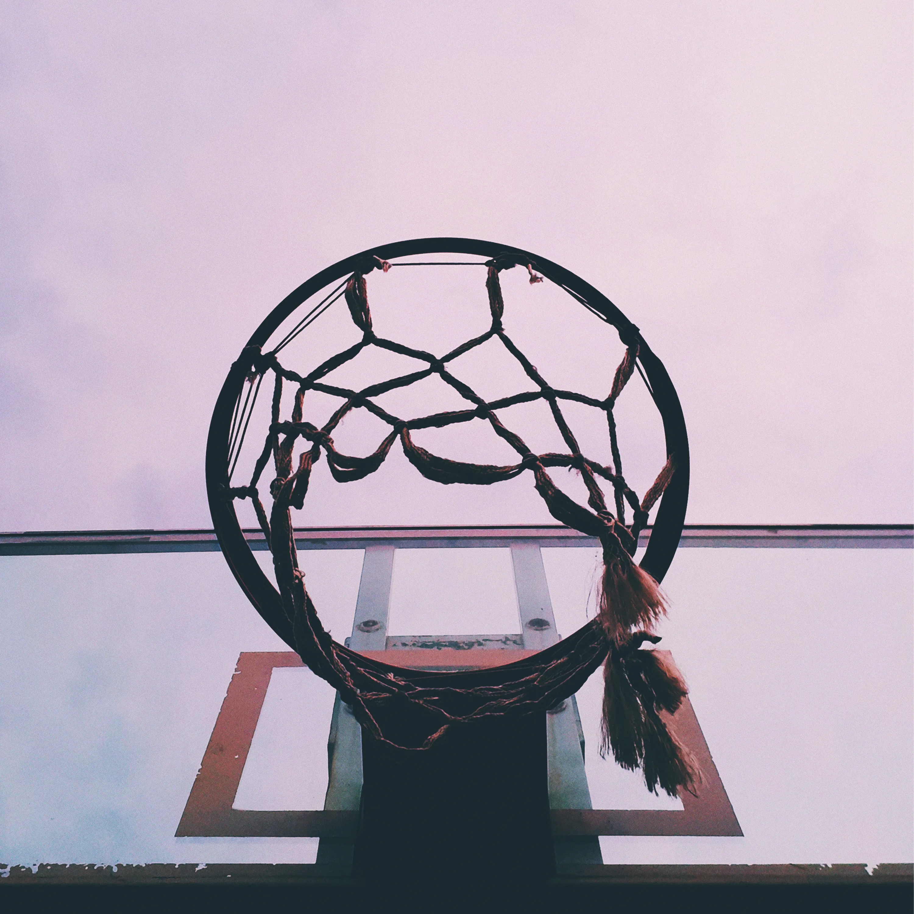 Anna Nimz Named Head Coach for UNA Women’s Basketball