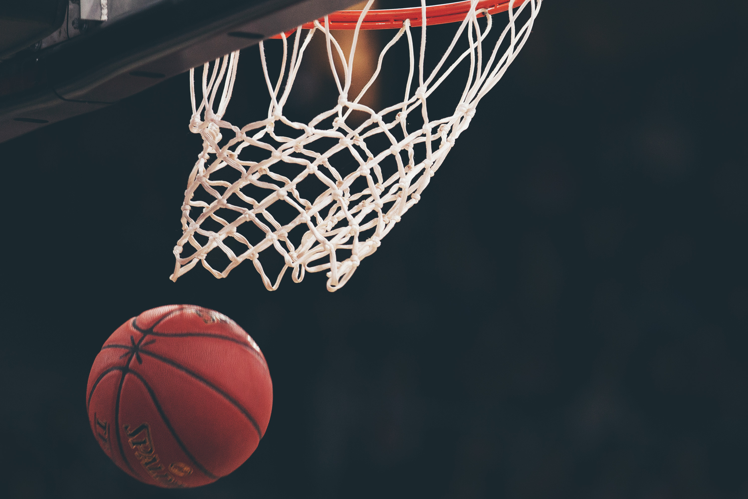 Neil Harrow, nombrado entrenador jefe del equipo femenino de baloncesto de Fordham