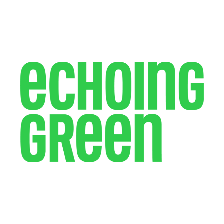 Echoing Green Fellowship 2026