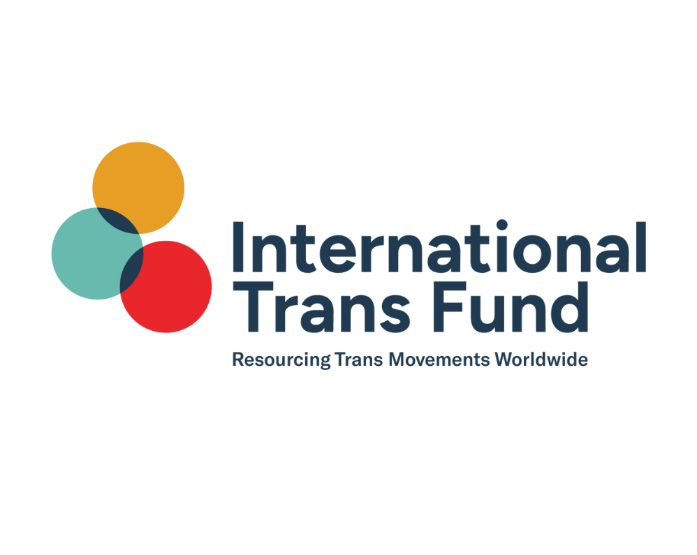 10º Ciclo de Grants del Fondo Internacional Trans (FIT) 2025