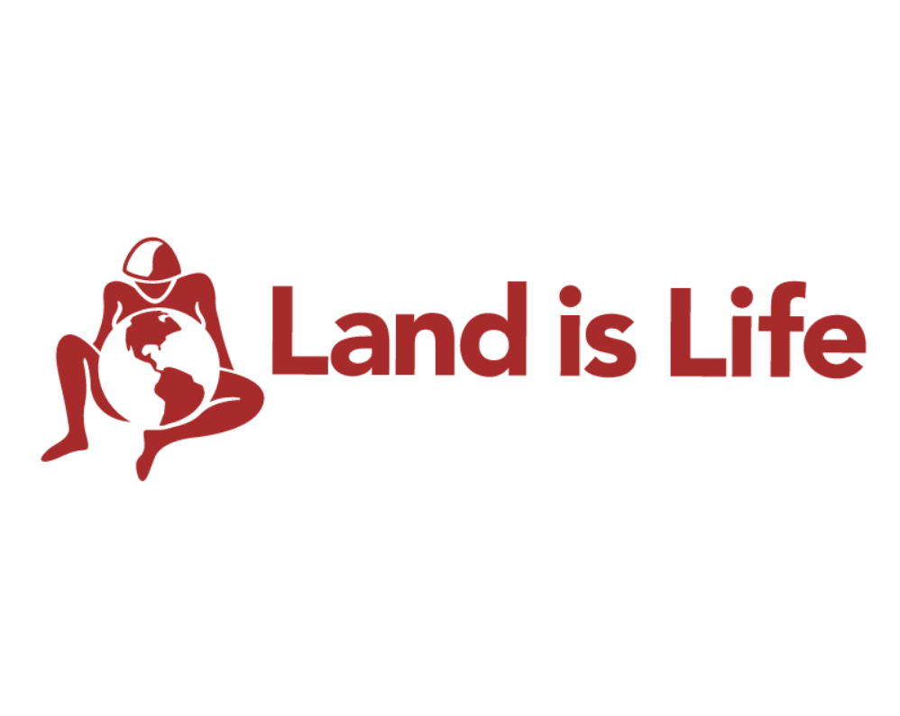 Indigenous Women's Program Fellowship 2026