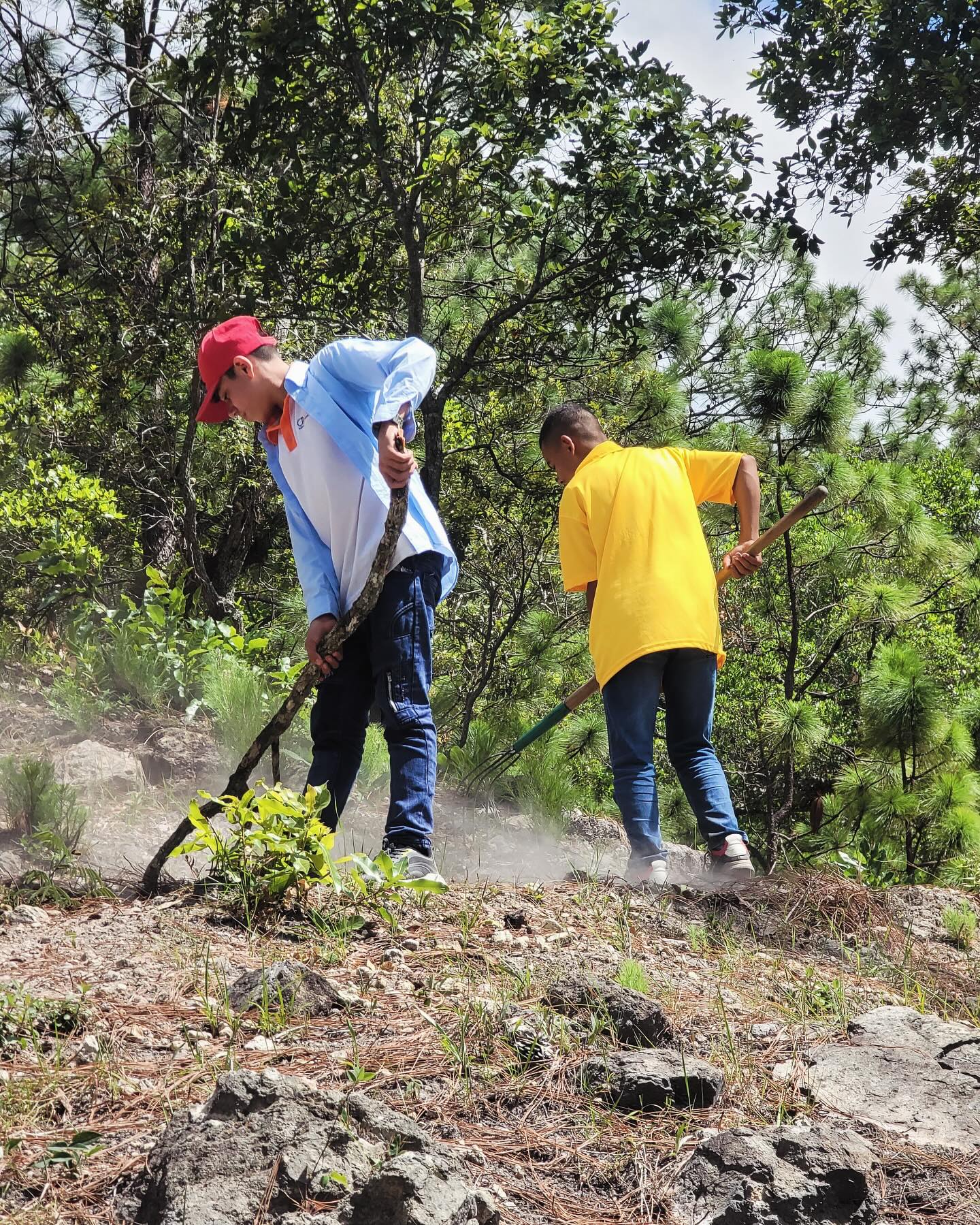 educate2envision-propel