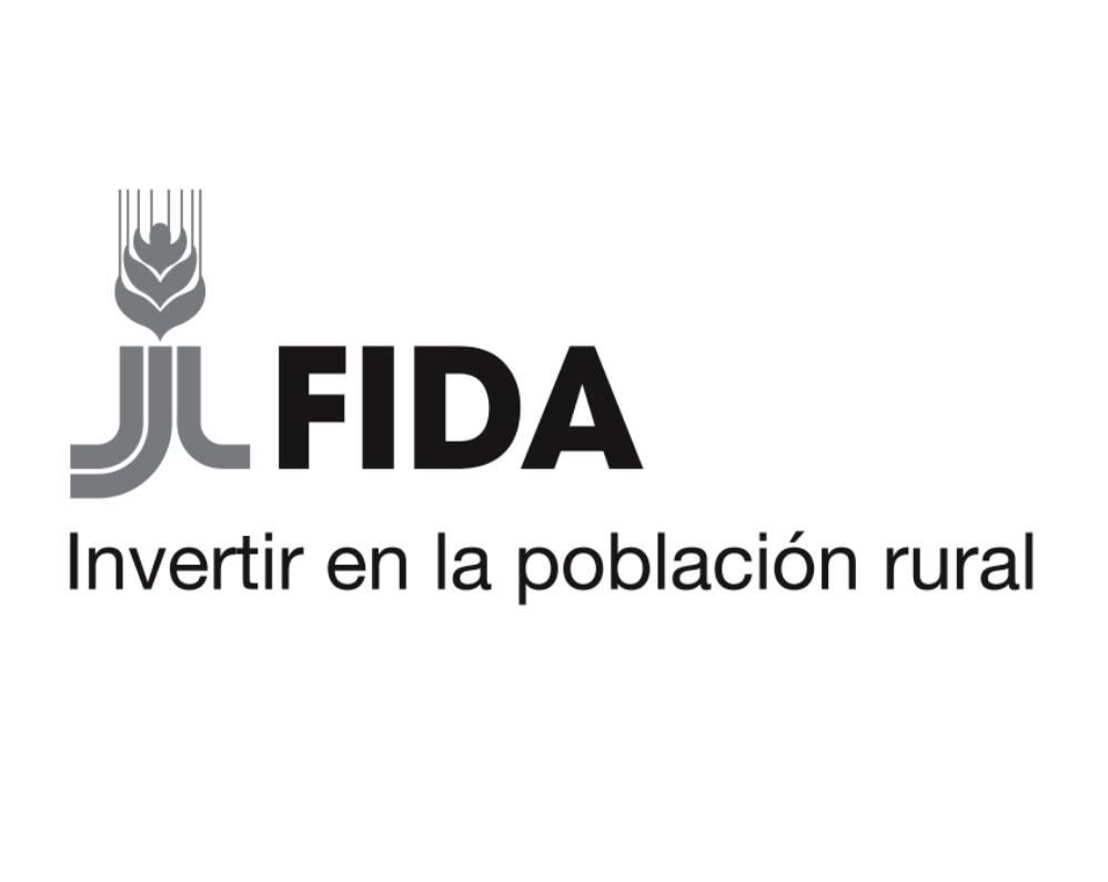 Subvención Regional FO4IMPACT