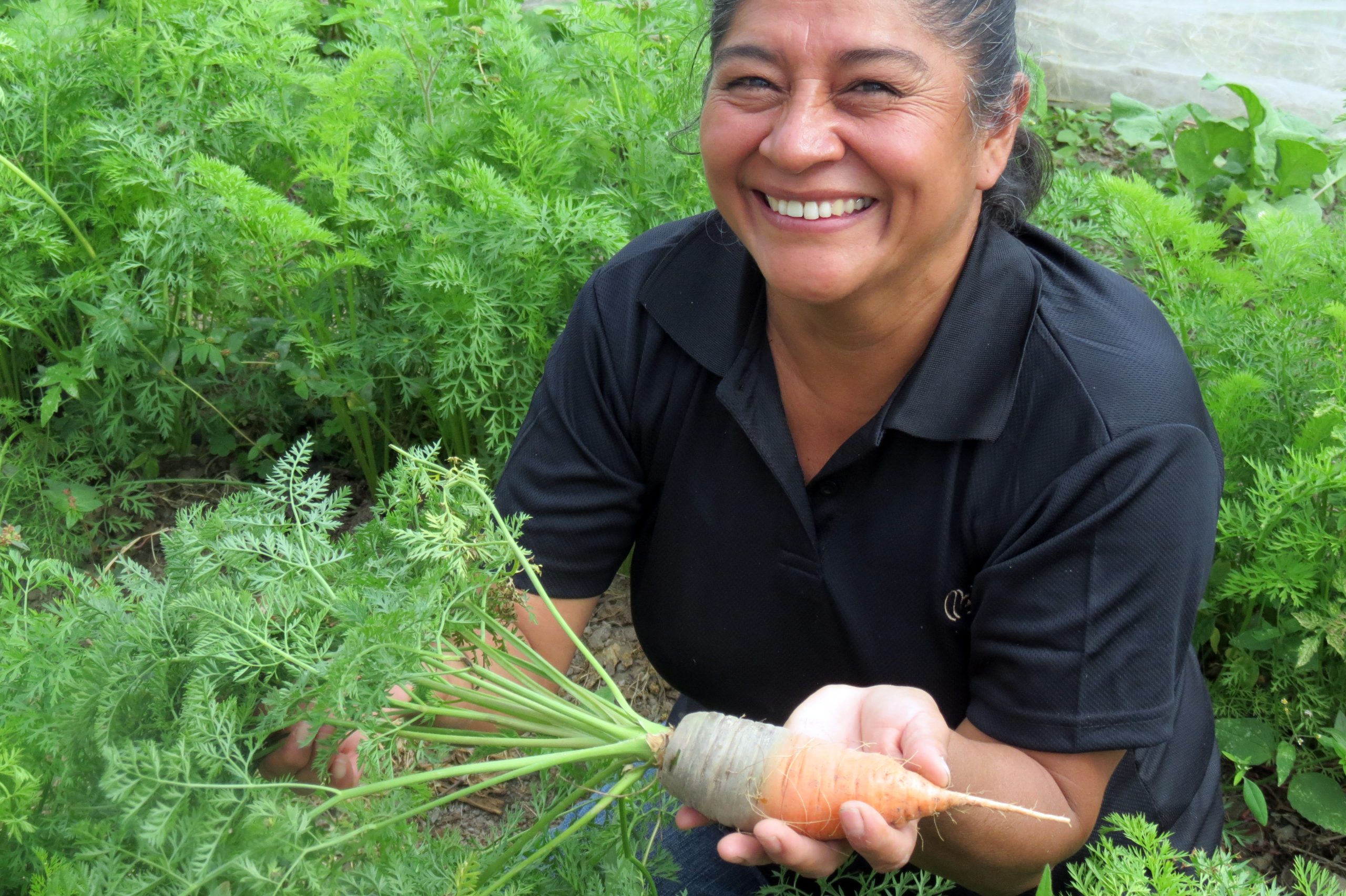 mentors_international-propel