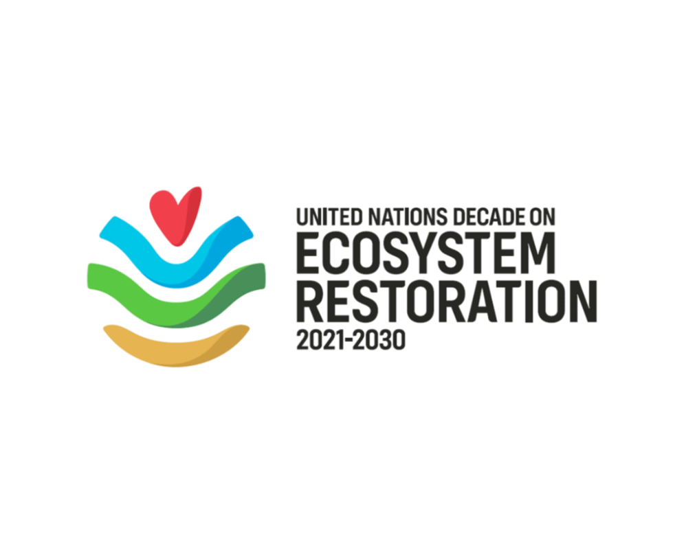 Microgrants for Ecosystem Restoration 2026