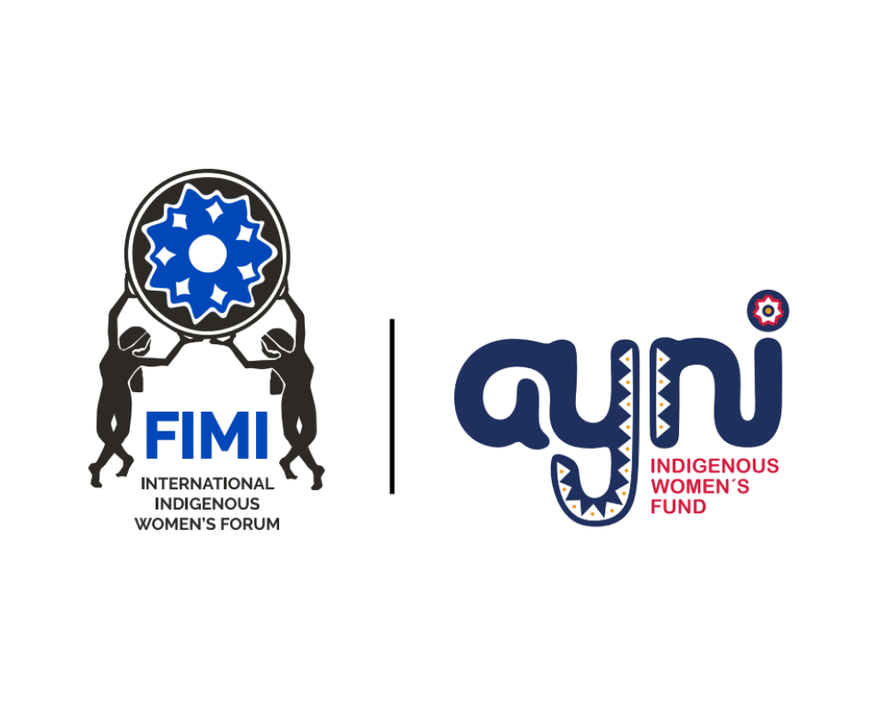 FIMI’s Ayni Fund Ayni Fund 2026