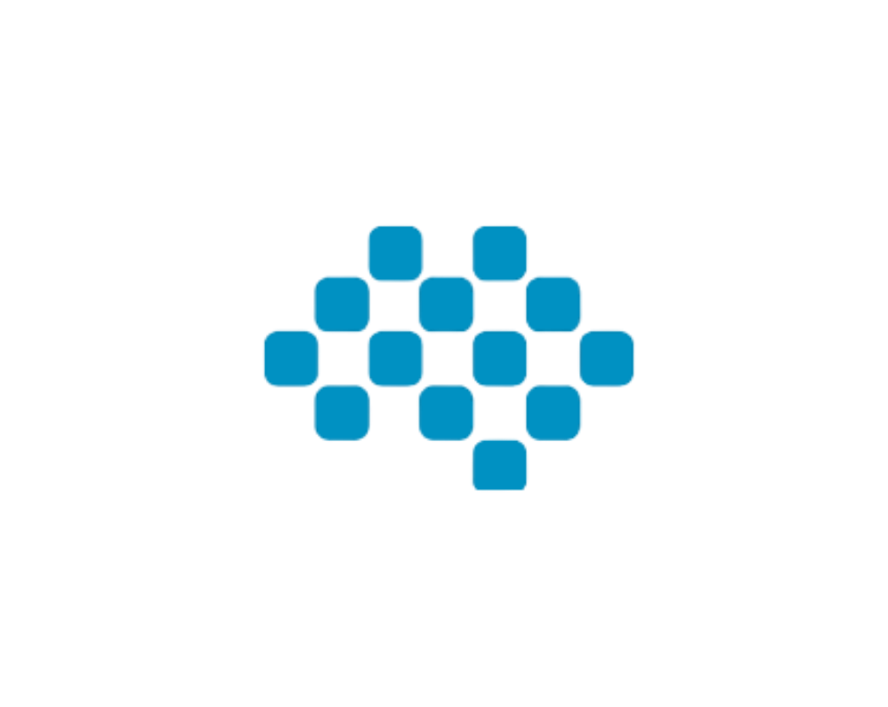 The Open Data Policy Lab New Commons Incubator for Indigenous Languages and Cultures