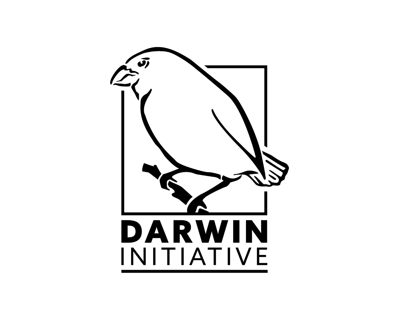 Darwin Initiative Round 32 – Capability & Capacity Applications