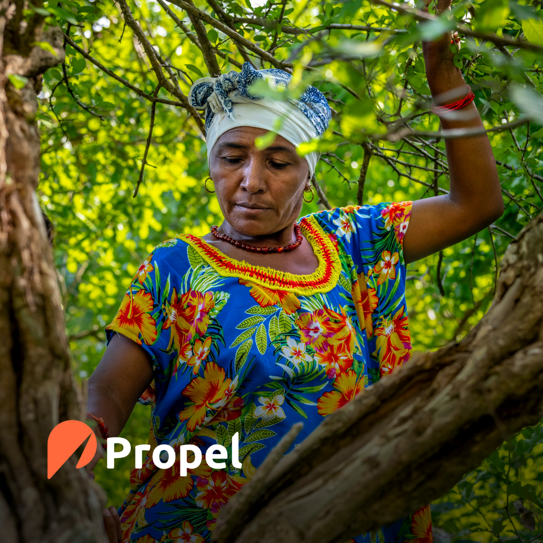 Artículo recomendado por Propel para líderes sociales