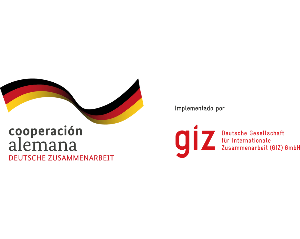 29.ª Convocatoria para Proyectos de Cooperación Triangular