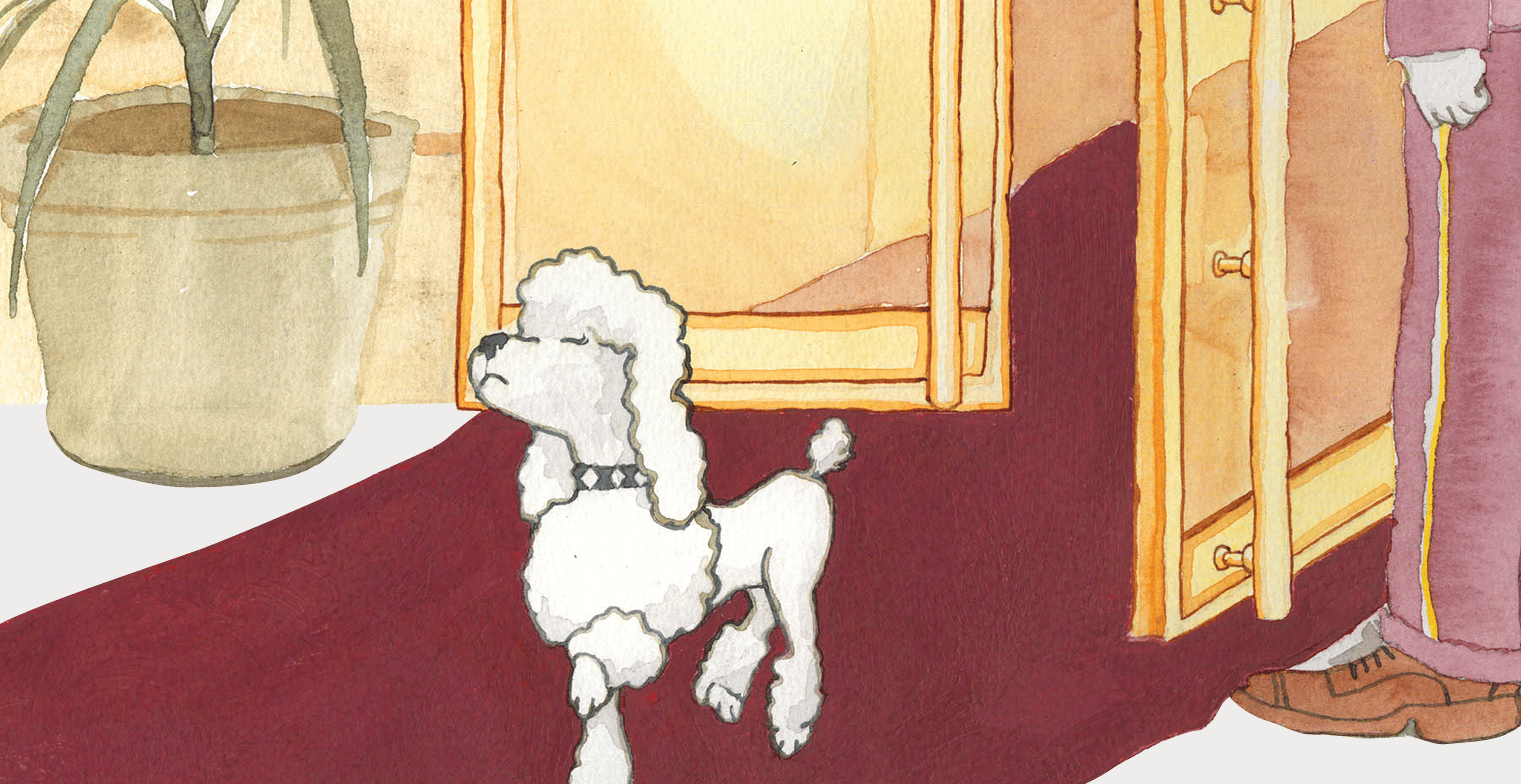 visual circles image