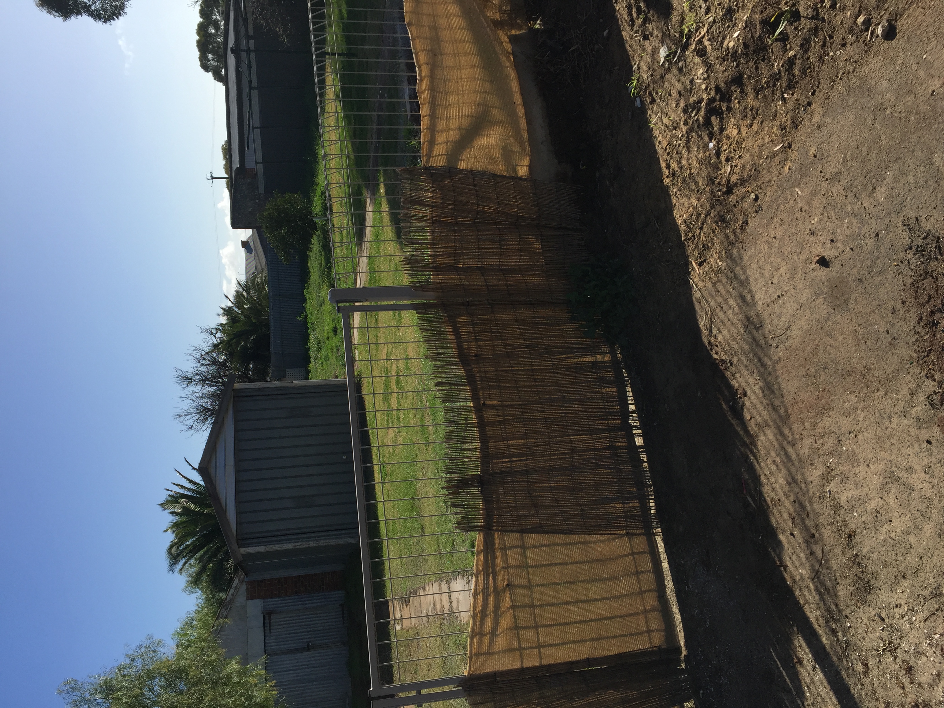 Murray Bridge share house Backyard shared space