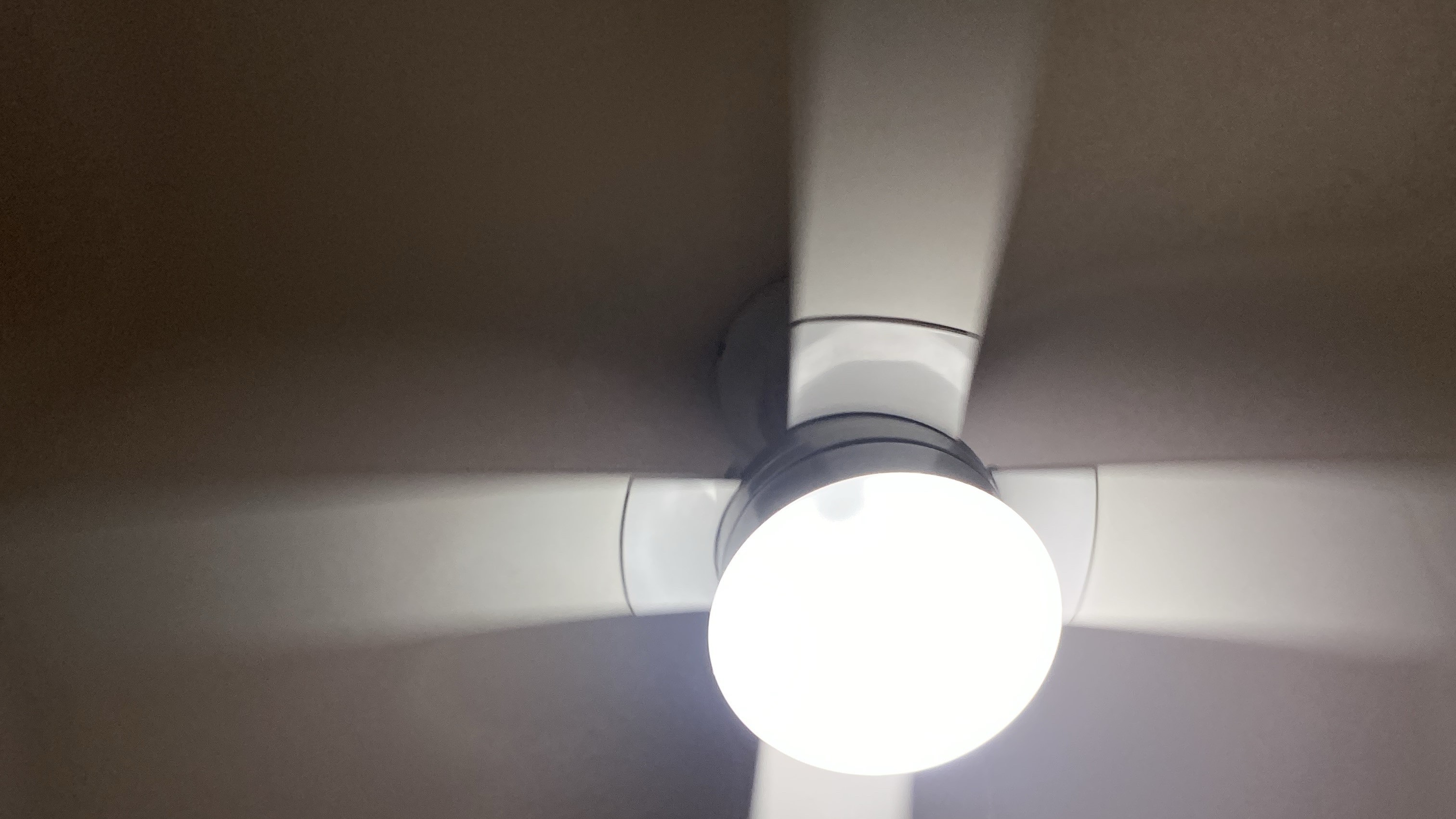 Elizabeth Grove share house Ceiling Fan