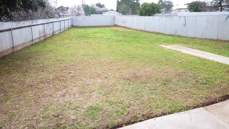 Elizabeth Grove share house Backyard shared space