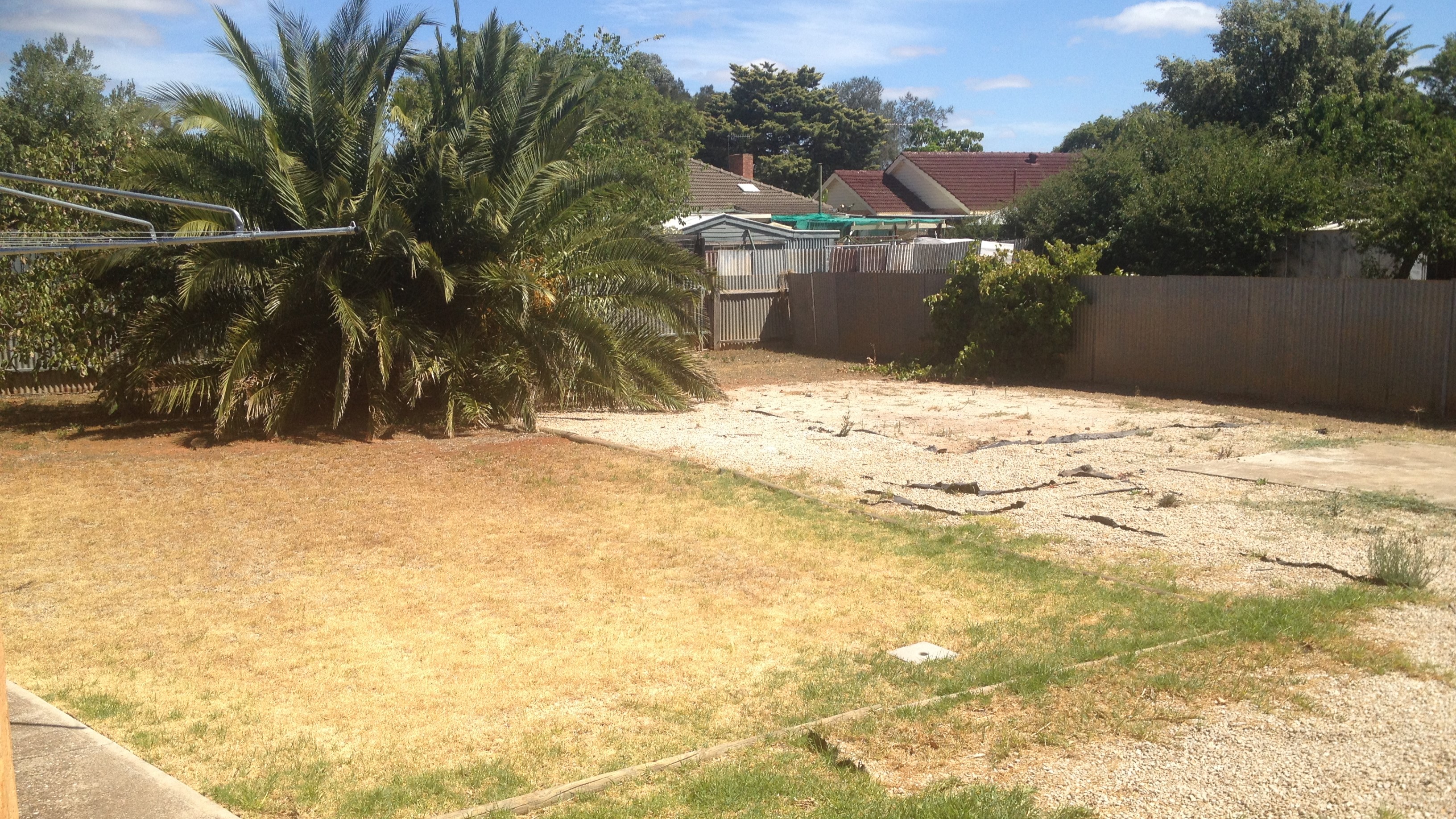 Elizabeth Downs share house Backyard shared space