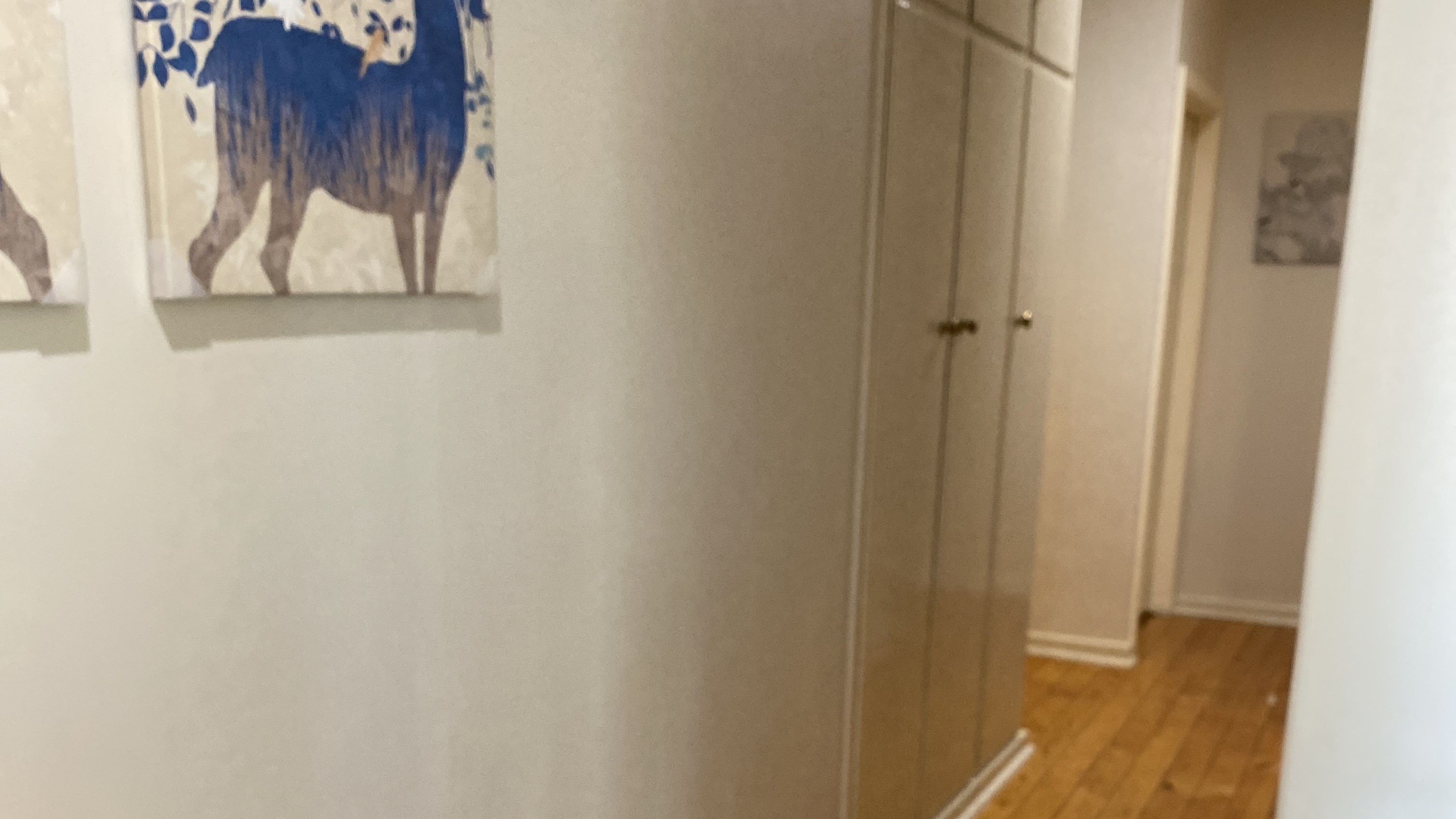 Para Hills West share house Internal Hallway (Alternate View) shared space