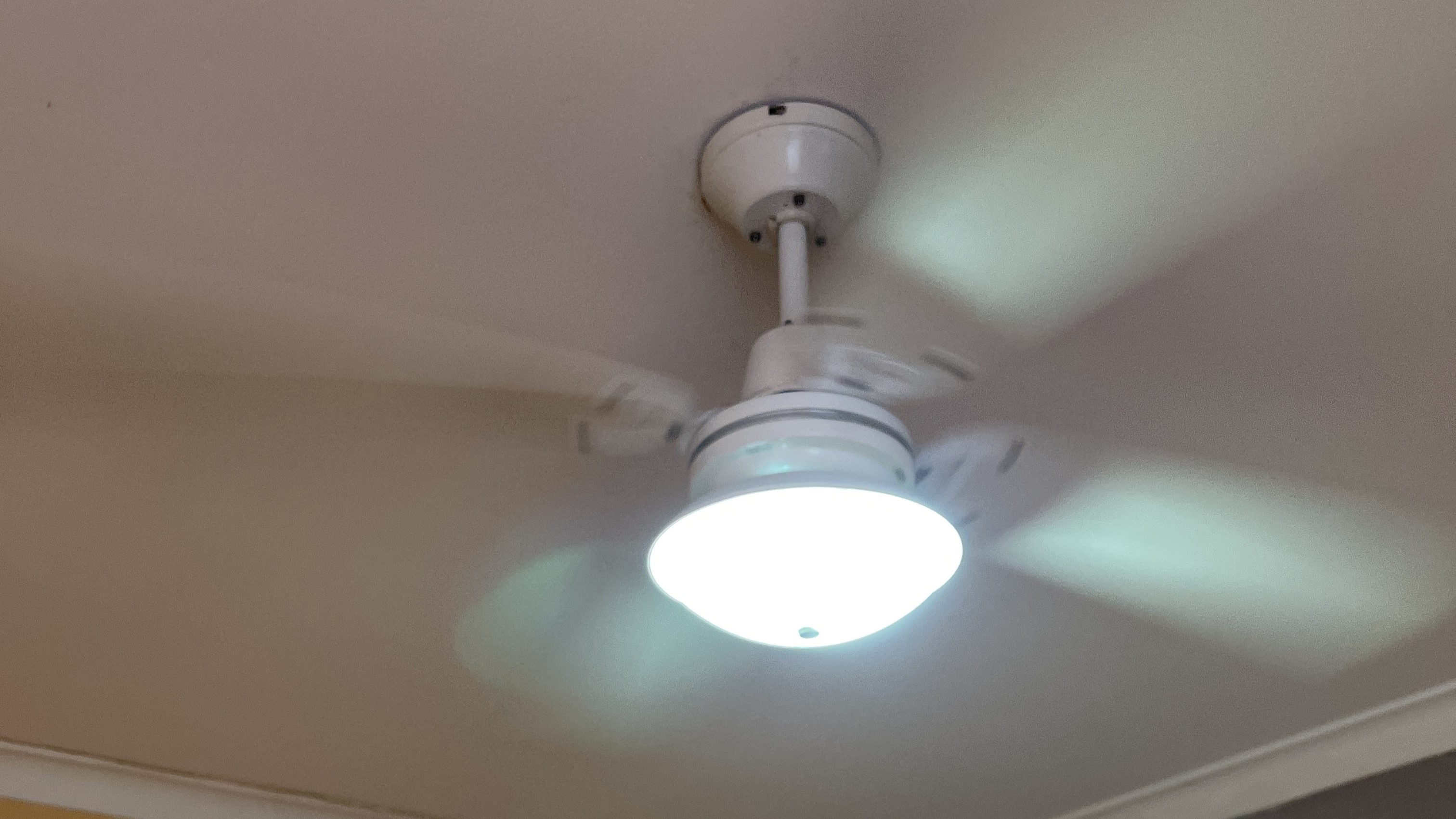 Christies Beach share house Ceiling Fan