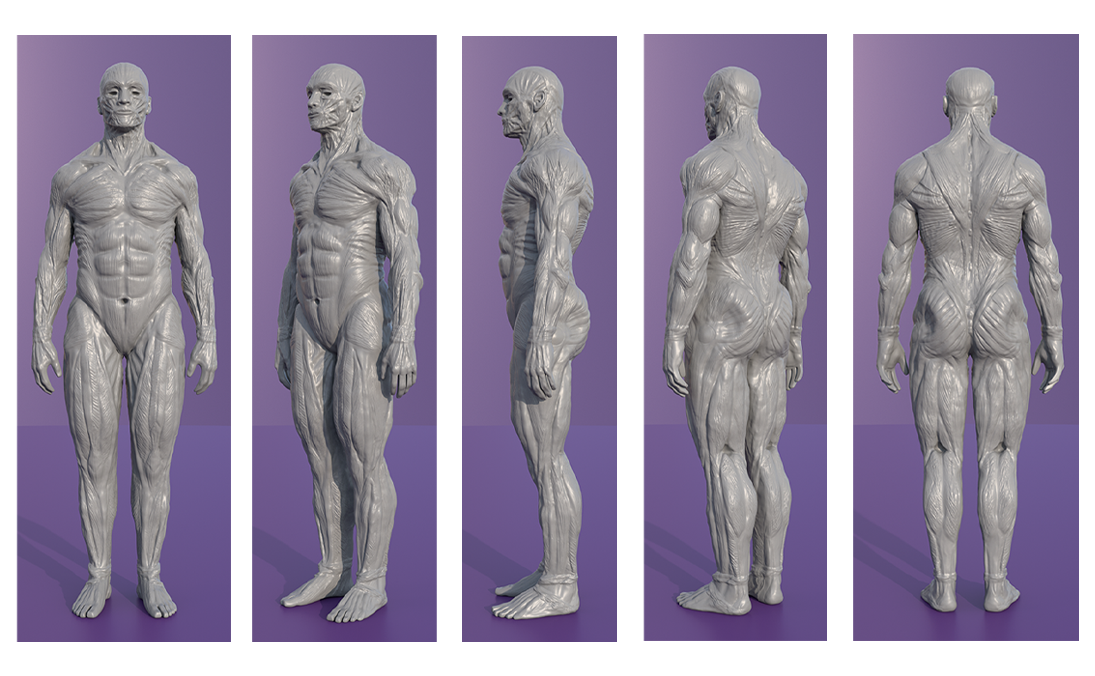 Sculpting | Character Creation
