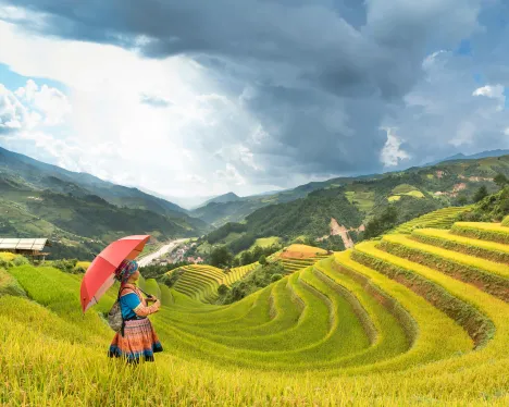 Landscape