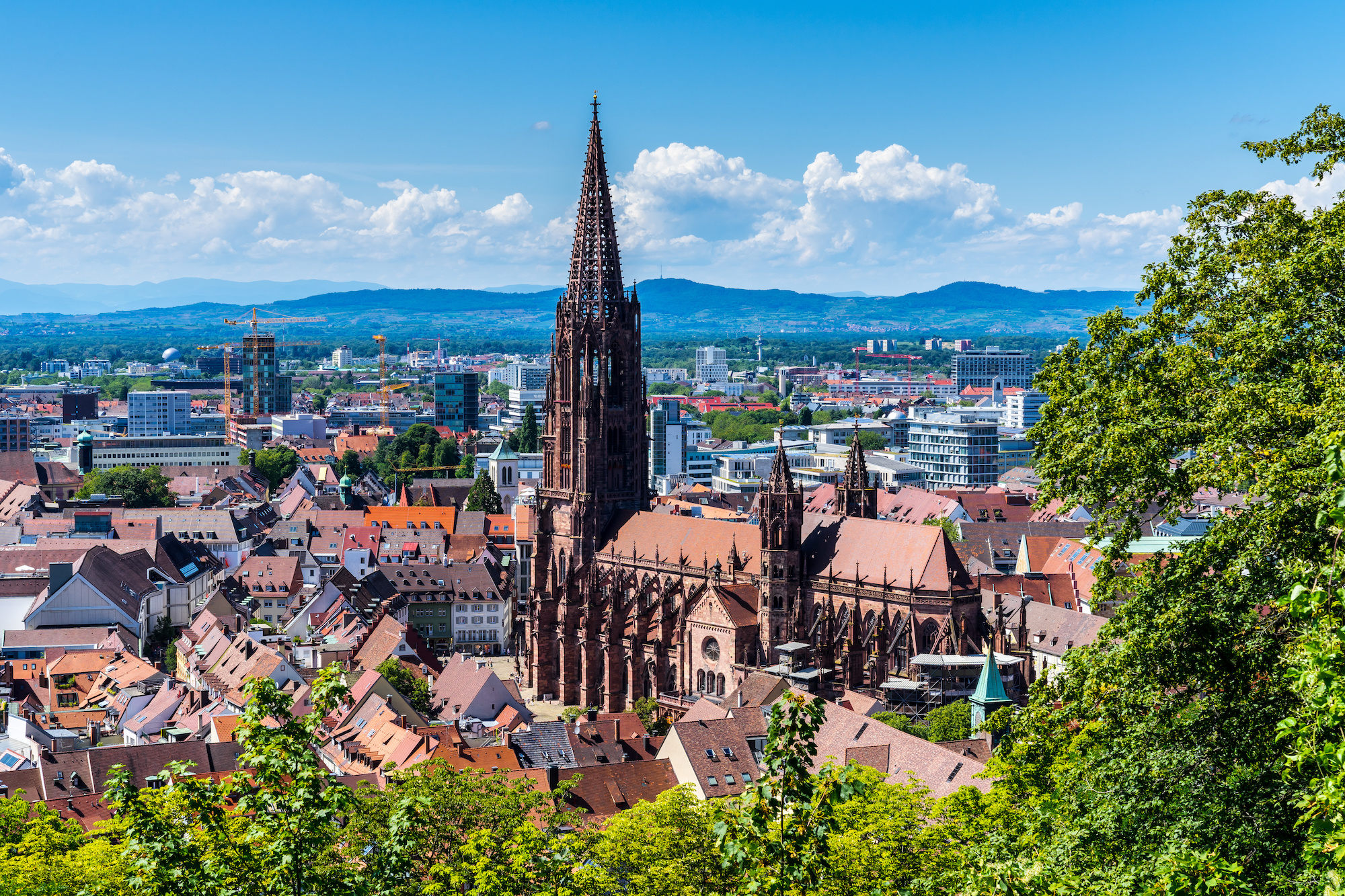 Stadt Münster