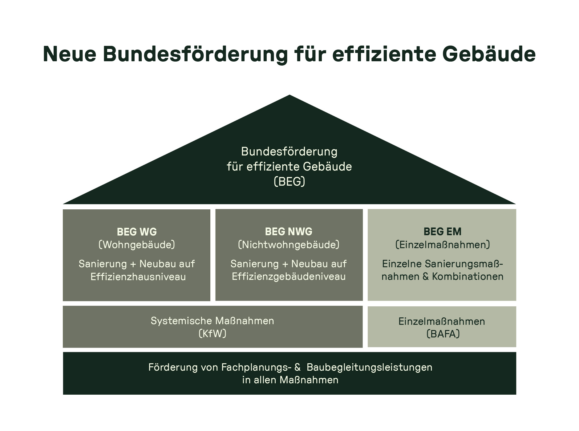 Übersicht der neuen Bundesförderung für effiziente Gebäude (BEG) in Deutschland, unterteilt in BEG WG (Wohngebäude), BEG NWG (Nichtwohngebäude) und BEG EM (Einzelmaßnahmen) für Sanierung und Neubau auf Effizienzniveau, systemische Maßnahmen (KfW) und Einzelmaßnahmen (BAFA), sowie Förderung von Fachplanungs- und Baubegleitungsleistungen.