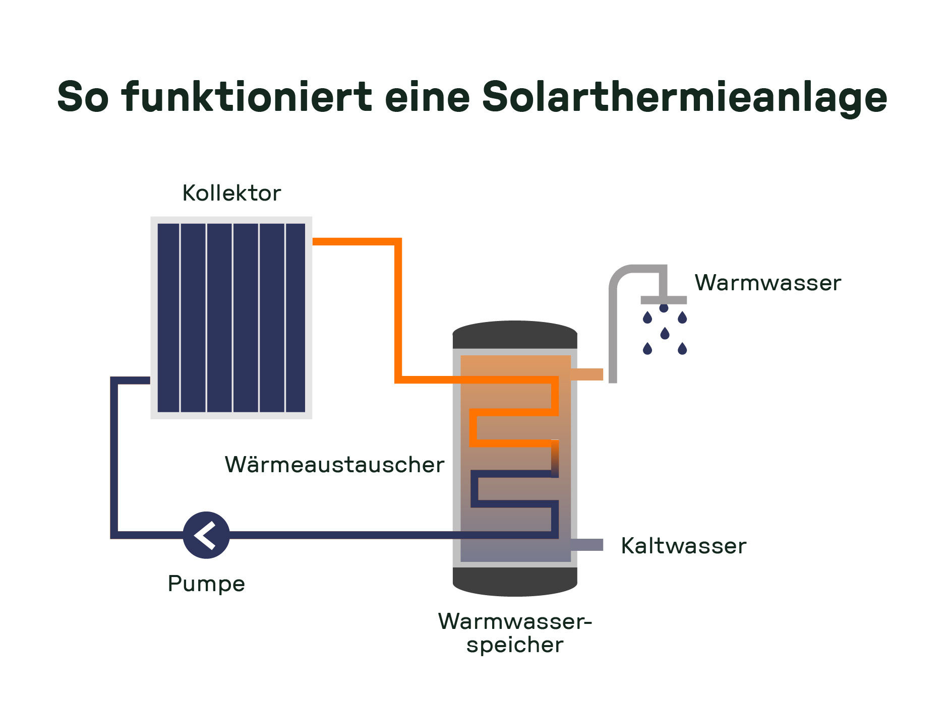 Grafische Darstellung der Funktionsweise einer Solarthermieanlage. Vom Kollektor fließt erwärmte Flüssigkeit über einen Wärmetauscher in den Warmwasserspeicher, aus dem Warmwasser entnommen wird. Eine Pumpe sorgt für den Rückfluss des abgekühlten Wassers.