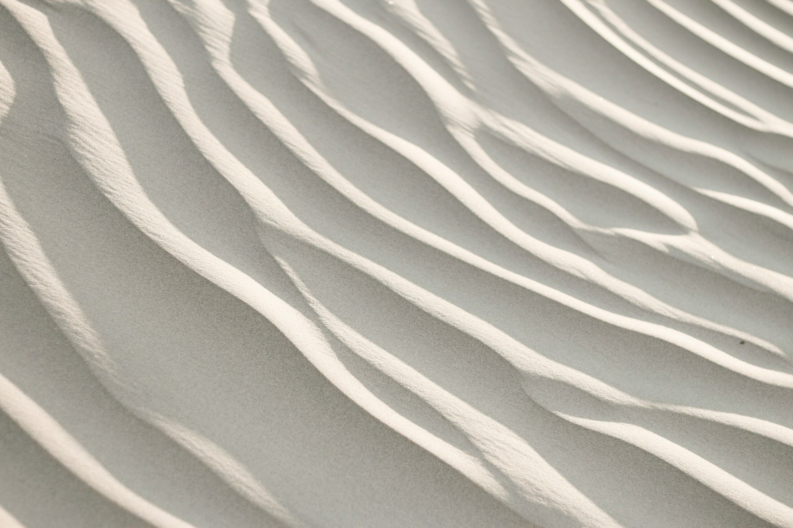 307017_image