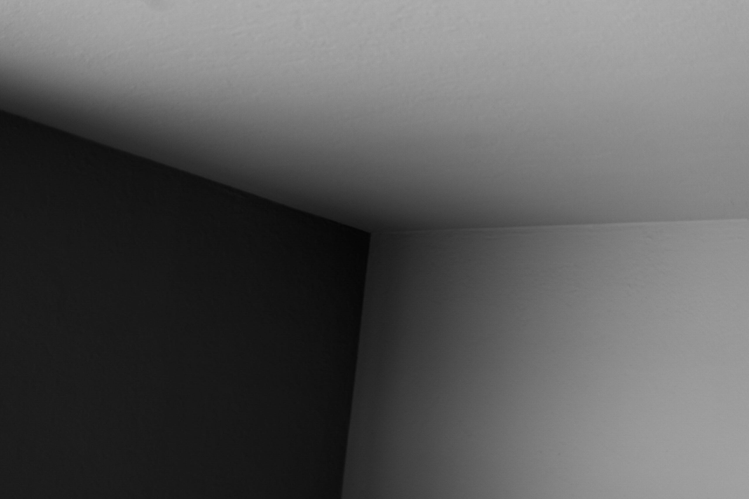 306941_image