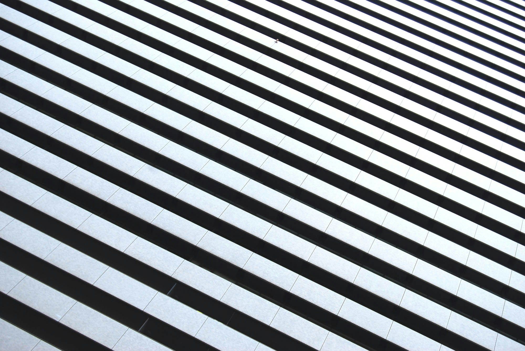 306697_image