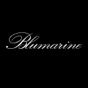 Blumarine fashion brand logo