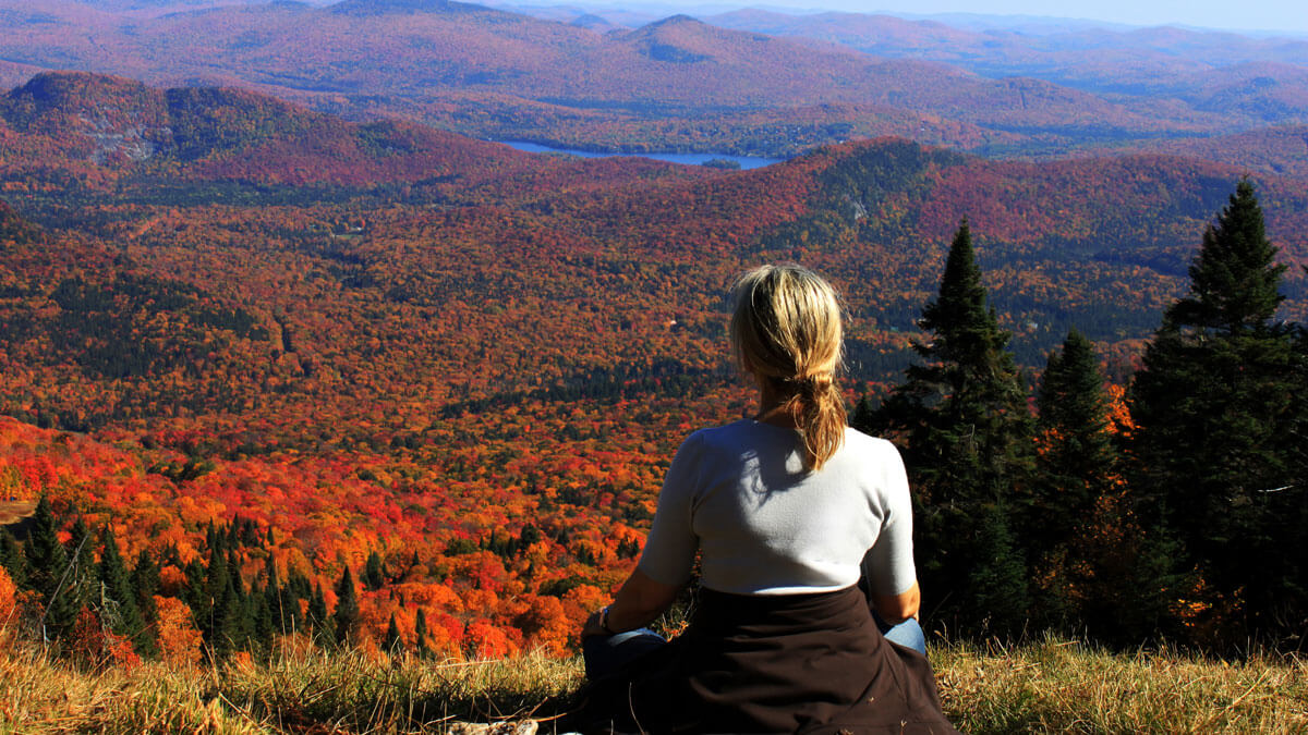 Lessons Learned: Support & Gratitude
