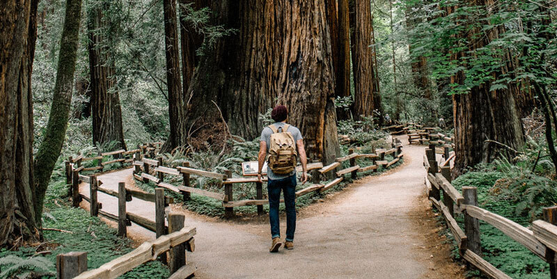 Our Many Paths of Recovery