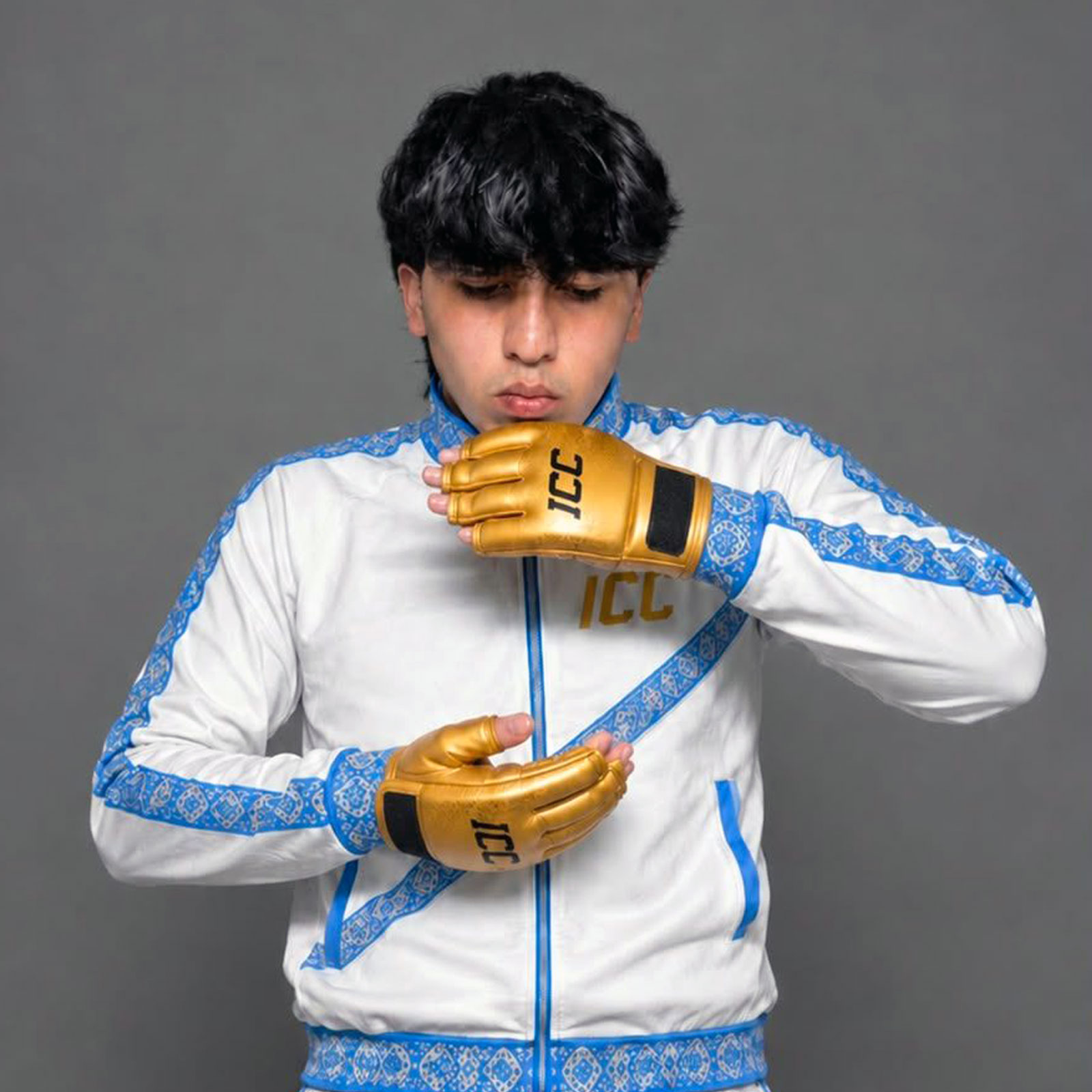 Santino Santillan